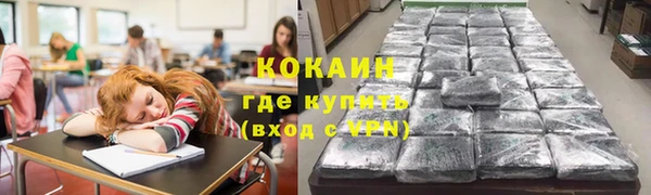 мяу мяу мука Беслан