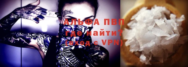 индика Балахна
