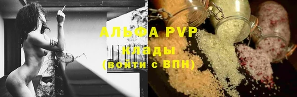 индика Балахна