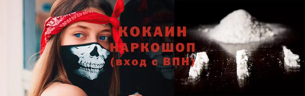индика Балахна